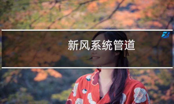新风系统管道 - 新风系统管道布置图