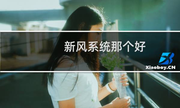 新风系统那个好 - 比新风系统更好的