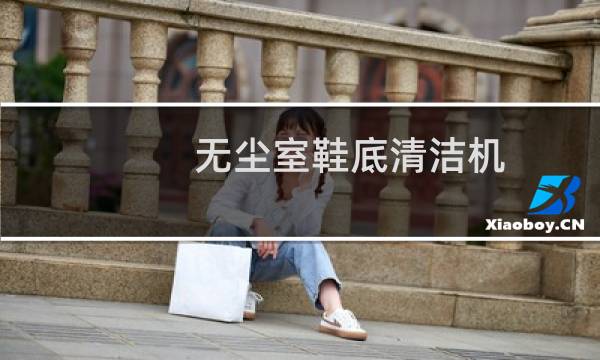 无尘室鞋底清洁机 -