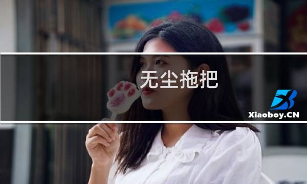 无尘拖把 - 无尘拖把单买