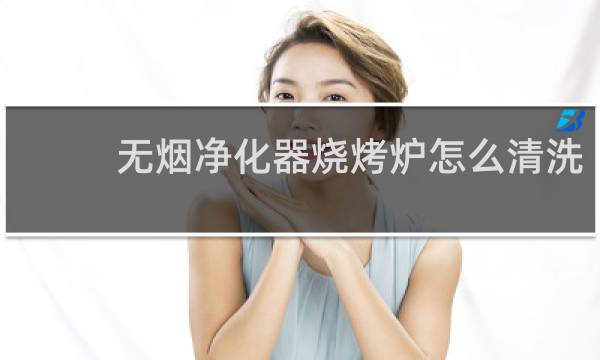 无烟净化器烧烤炉怎么清洗 - 烧烤炉净化器维修上门
