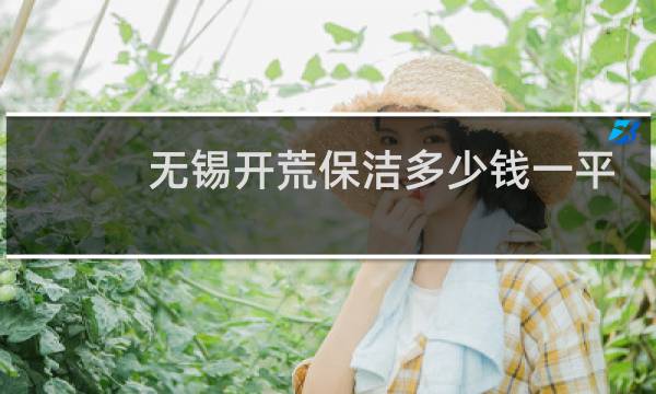 无锡开荒保洁多少钱一平 - 无锡怎么去找开荒保洁
