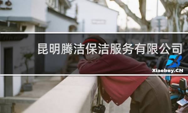 昆明腾洁保洁服务有限公司 - 昆明保洁李文向