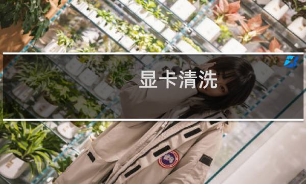 显卡清洗 - 显卡清灰然后废了