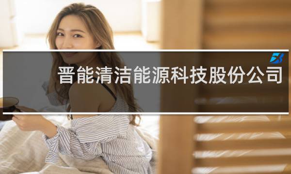 晋能清洁能源科技股份公司 - 晋能科技董事长白雷