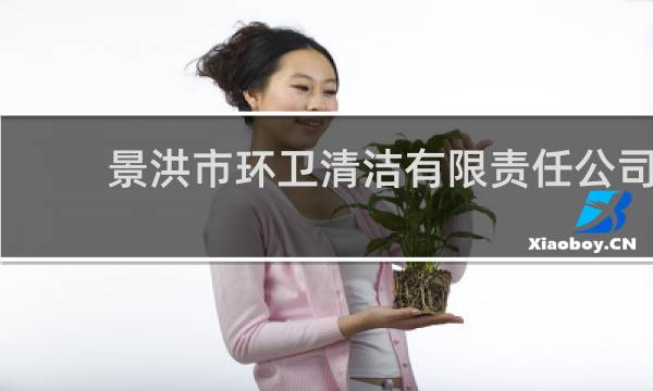 景洪市环卫清洁有限责任公司 - 景洪市嘎洒环卫保洁公司