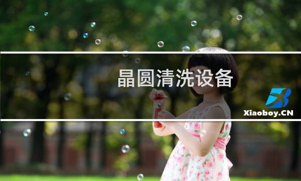 晶圆清洗设备 - 半导体晶圆清洗设备