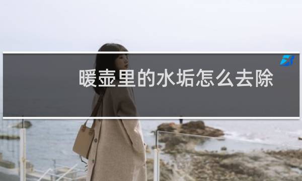 暖壶里的水垢怎么去除 - 暖壶内胆里的水垢怎么去除