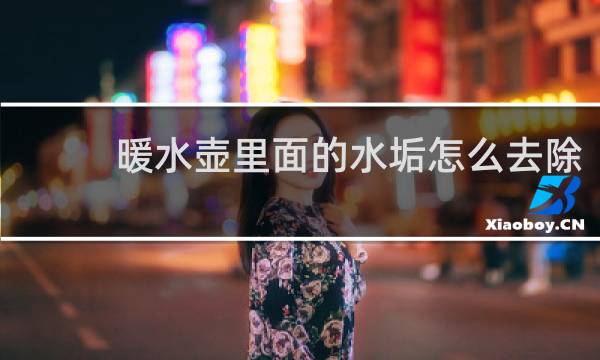 暖水壶里面的水垢怎么去除 - 暖壶内胆里的水垢怎么去除