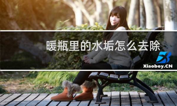 暖瓶里的水垢怎么去除 - 如何去除暖瓶瓶胆中的水垢?