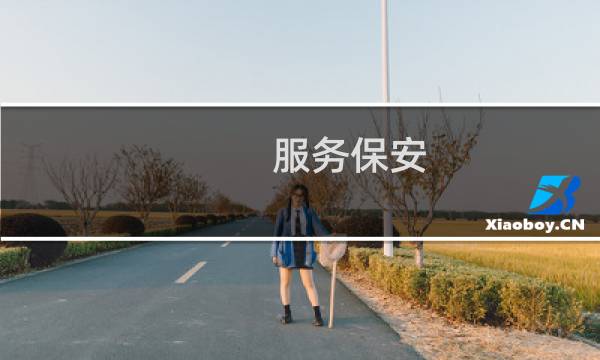 服务保安 - 霞山找保安