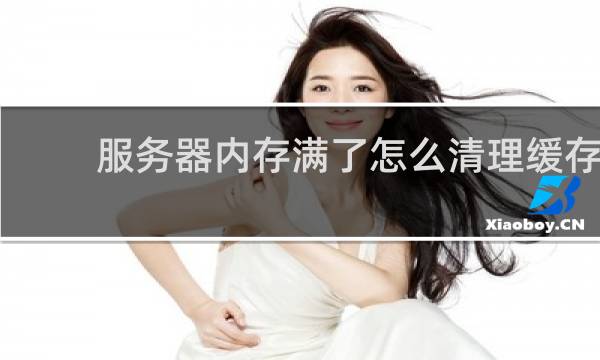 服务器内存满了怎么清理缓存 - 服务器缓存在哪里删除