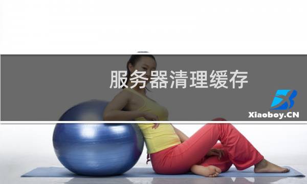 服务器清理缓存 - 服务器缓存在哪里删除