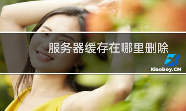 服务器缓存在哪里删除 - 服务器缓存过多怎么清理