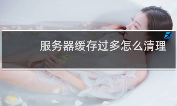 服务器缓存过多怎么清理 - 服务器缓存在哪里删除