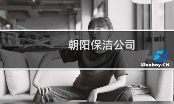 朝阳保洁公司 - 朝阳开荒保洁公司