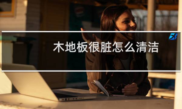 木地板很脏怎么清洁 - 木地板怎样清洁