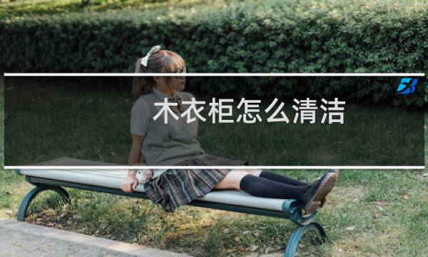 木衣柜怎么清洁 - 木质衣柜的清洁小妙招