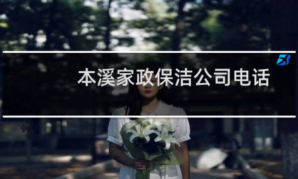 本溪家政保洁公司电话 - 本溪的家政公司哪家好