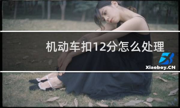 机动车扣12分怎么处理 - 一次扣12分处理技巧