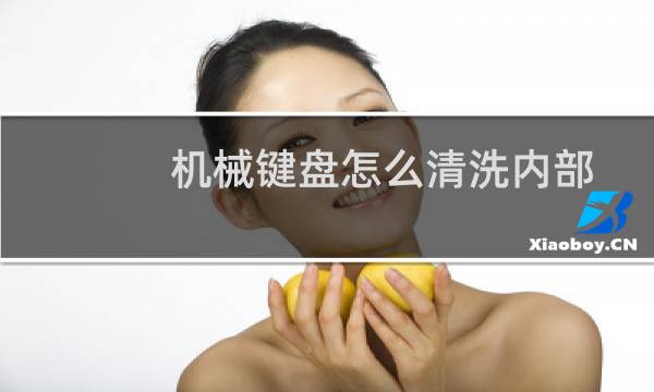 机械键盘怎么清洗内部 - 机械键盘清洗服务