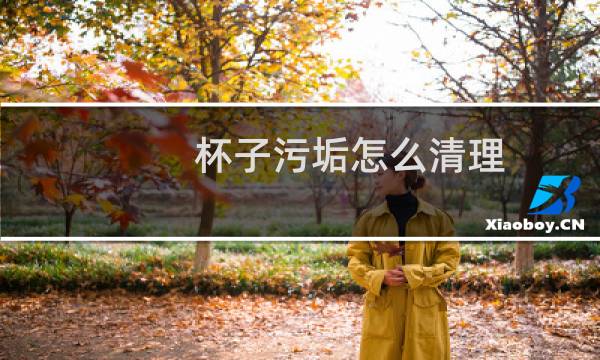 杯子污垢怎么清理 - 如何清理玻璃杯里的污垢