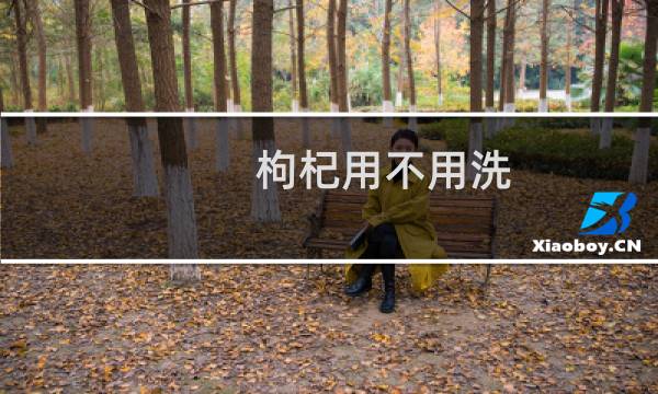 枸杞用不用洗 - 瓶装枸杞需要洗吗