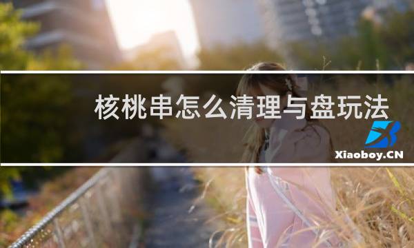 核桃串怎么清理与盘玩法 - 文玩核桃盘花了怎么补救