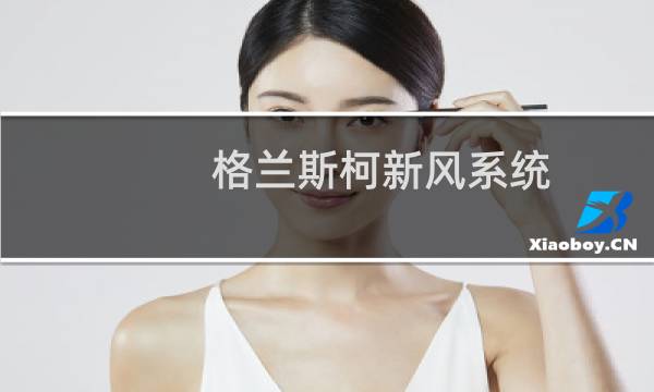 格兰斯柯新风系统 - 格兰斯柯吊顶新风机价格