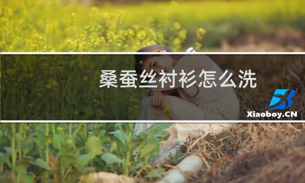 桑蚕丝衬衫怎么洗 - 桑蚕丝衣服出汗后可以不洗吗