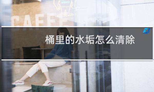桶里的水垢怎么清除 - 马桶里的污垢怎么清除