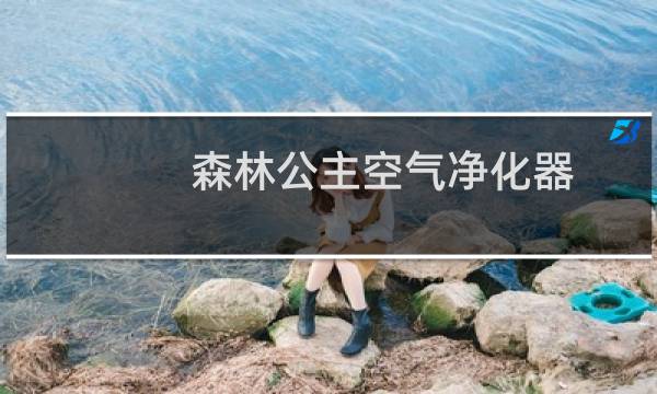 森林公主空气净化器 - 森林公主03空气净化器怎么样