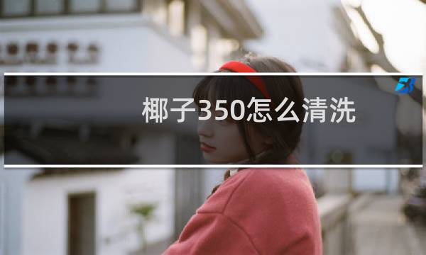 椰子350怎么清洗 - 椰子鞋网面脏了怎么洗