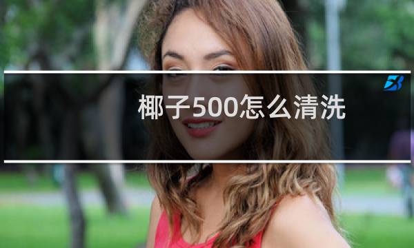 椰子500怎么清洗 - 椰子500麂皮怎么洗