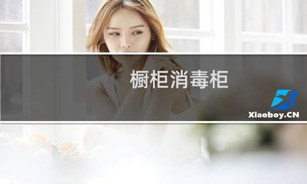 橱柜消毒柜 - 橱柜消毒柜使用说明