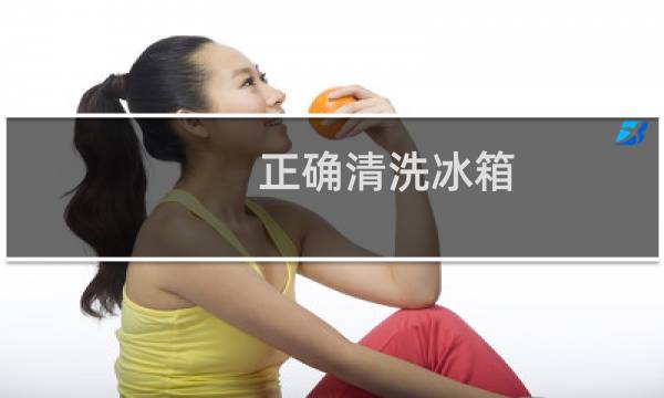 正确清洗冰箱 - 正确清洗冰箱的方法