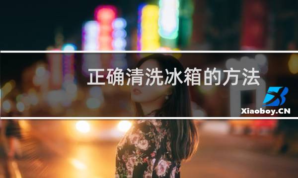正确清洗冰箱的方法 - 冰箱搁架怎么取出图解