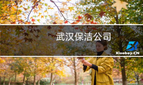 武汉保洁公司 - 武汉专业保洁公司