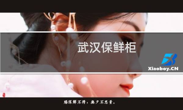 武汉保鲜柜 -