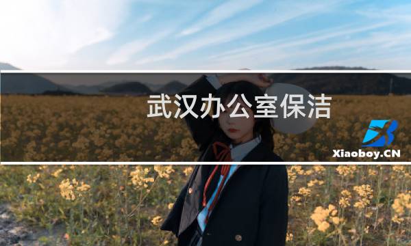 武汉办公室保洁 - 武汉个人找保洁