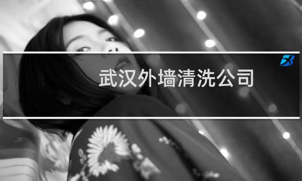 武汉外墙清洗公司 - 武汉外墙清洗