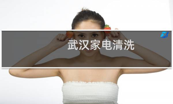 武汉家电清洗 - 武汉家电清洗上门