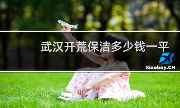 武汉开荒保洁多少钱一平 - 130平开荒保洁多少钱