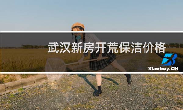 武汉新房开荒保洁价格 - 武汉保洁多少钱一小时