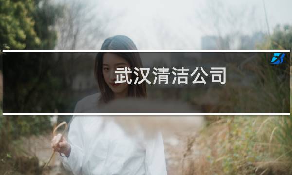武汉清洁公司 - 武汉公司做保洁