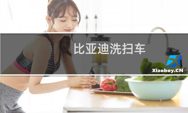 比亚迪洗扫车 - 比亚迪纯电动洗扫车
