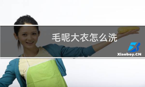 毛呢大衣怎么洗 - 毛呢大衣的正确清洗方法