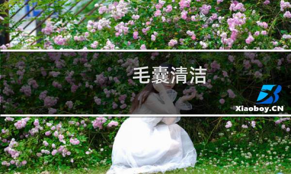 毛囊清洁 - 毛囊清洁术骗局
