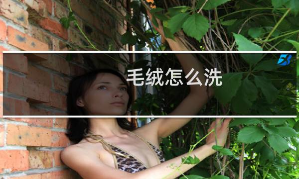 毛绒怎么洗 - 清洗毛绒玩具的小妙招