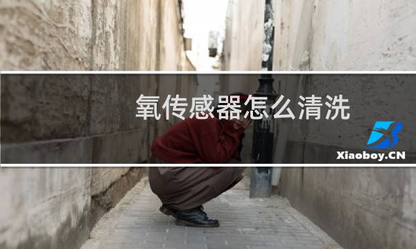 氧传感器怎么清洗 - 氧传感器千万别用草酸